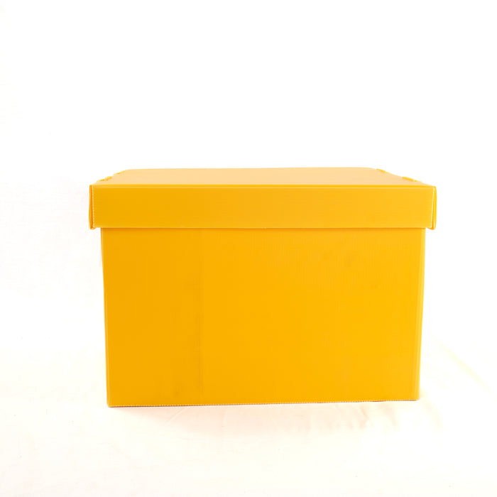 A4 archive box with a lid, designed for efficient document storage and protection.